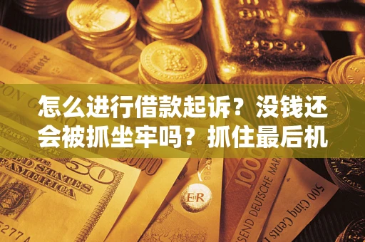北京怎么进行借款起诉？没钱还会被抓坐牢吗？抓住最后机会！