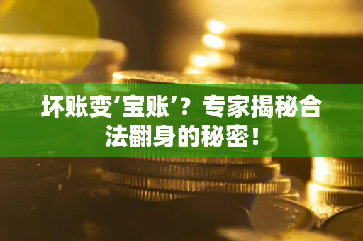 北京坏账变‘宝账’？专家揭秘合法翻身的秘密！