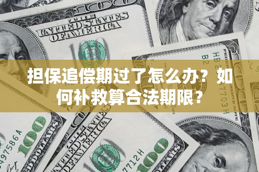 北京担保追偿期过了怎么办？如何补救算合法期限？