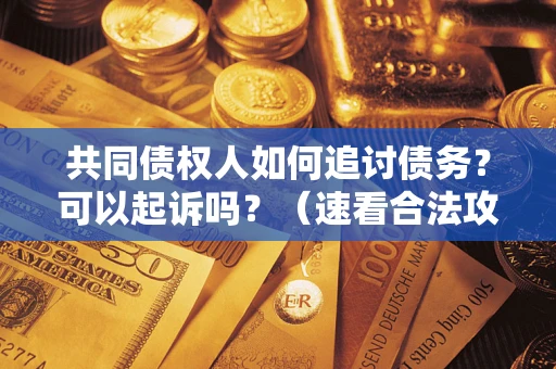 北京共同债权人如何追讨债务？可以起诉吗？（速看合法攻略）