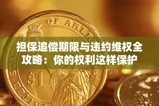 北京担保追偿期限与违约维权全攻略：你的权利这样保护